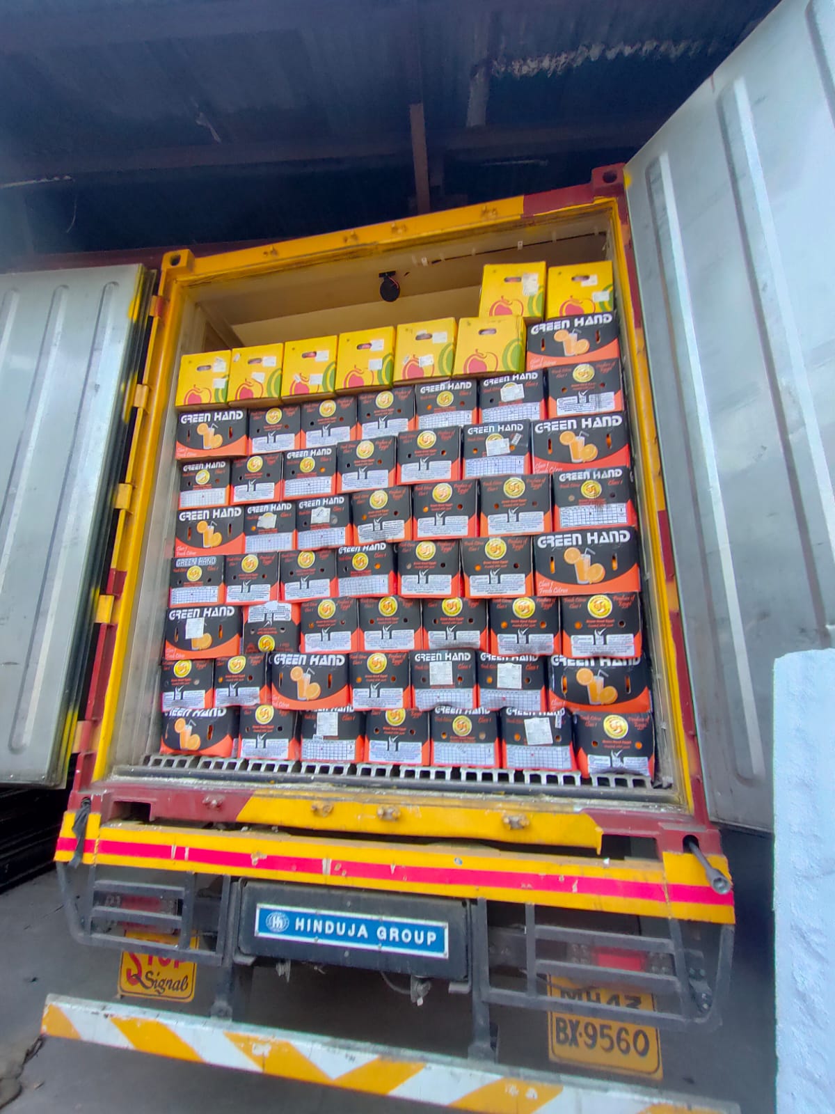 Our delivery in action
